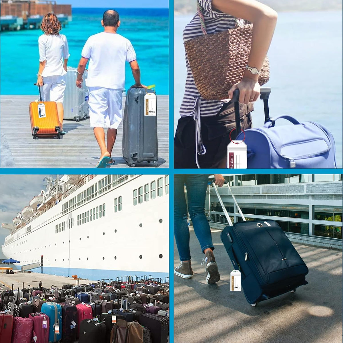 6 Pcs Holland America Cruise Luggage Tag Holders, Zip Seal Clear Cruise Luggage Tag Holder with Steel Loops Fits for Holland America & Carnival Cruise Essentials Must Haves 2025-2026 (6 Holders)